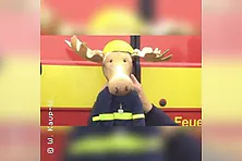 Finn, der Feuerwehrelch
