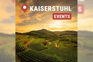 Kaiserstuhl [Foto: BZ.medien GmbH & Co. KG]