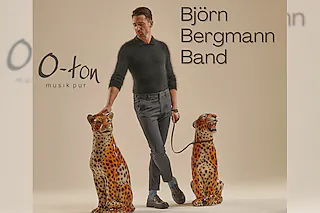 Björn Bergmann Band