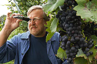Weingut Sonnenbrunnen
