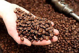Café Frühling